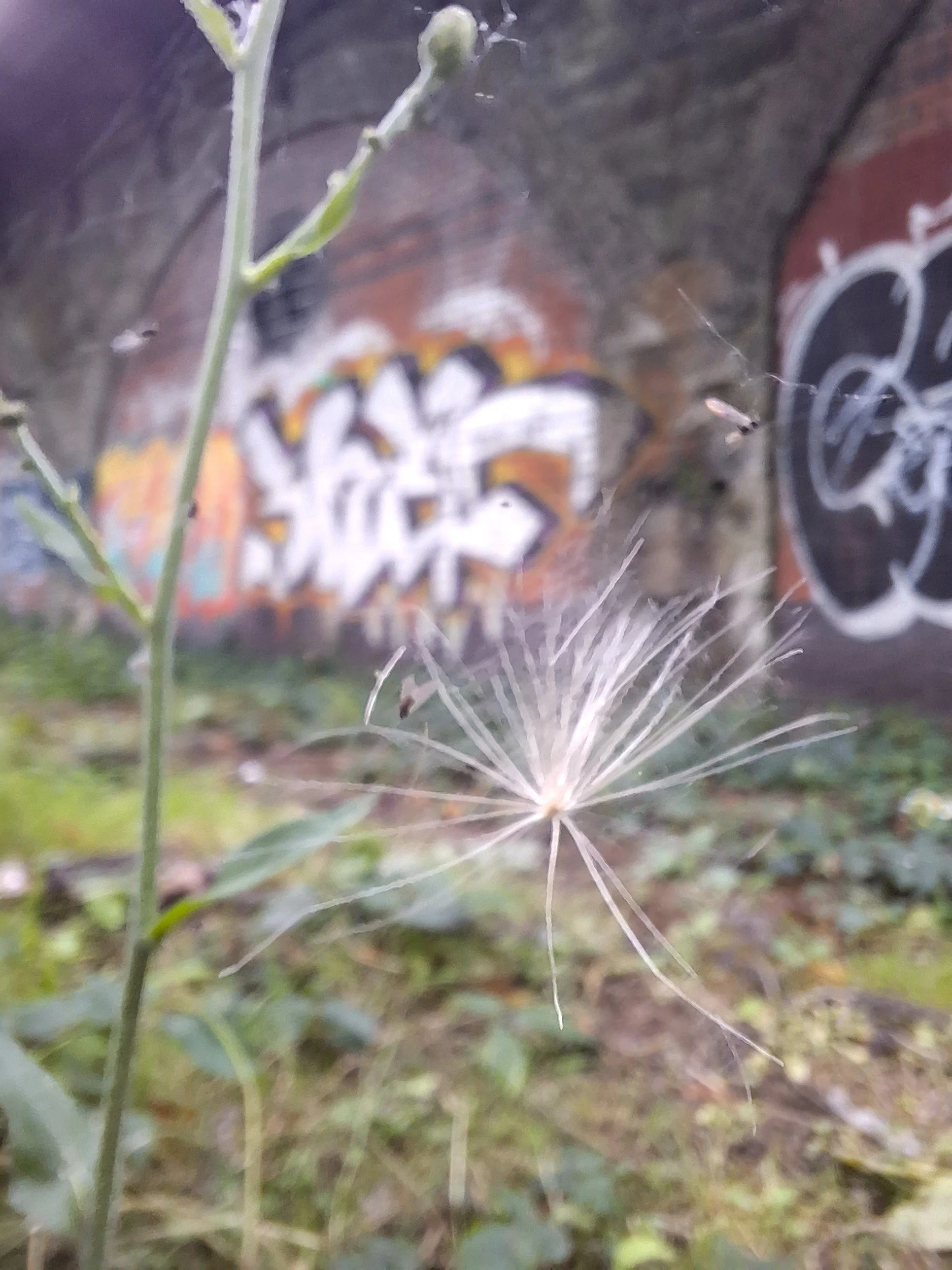20260811_195646.jpg