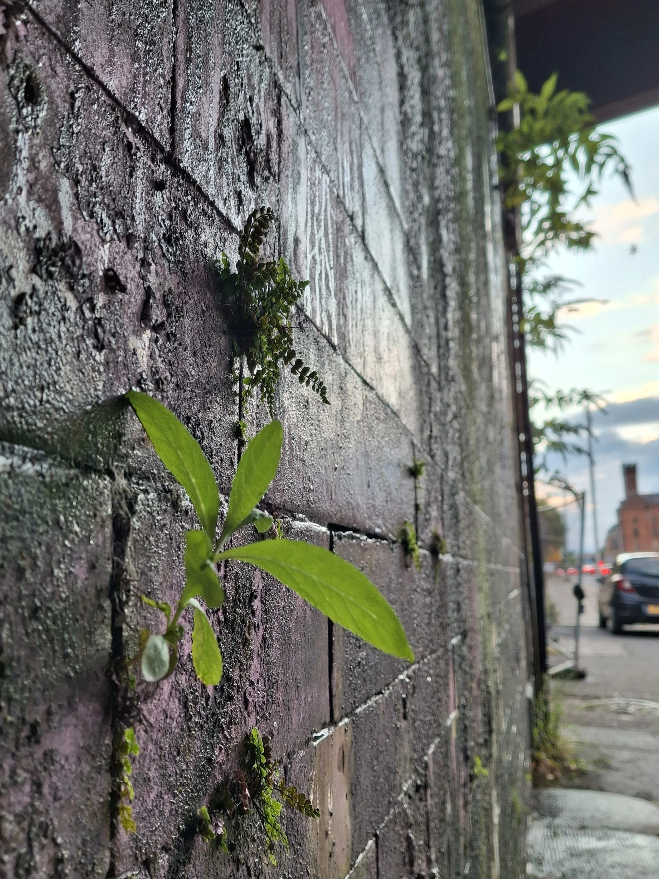 20260804_202610.jpg