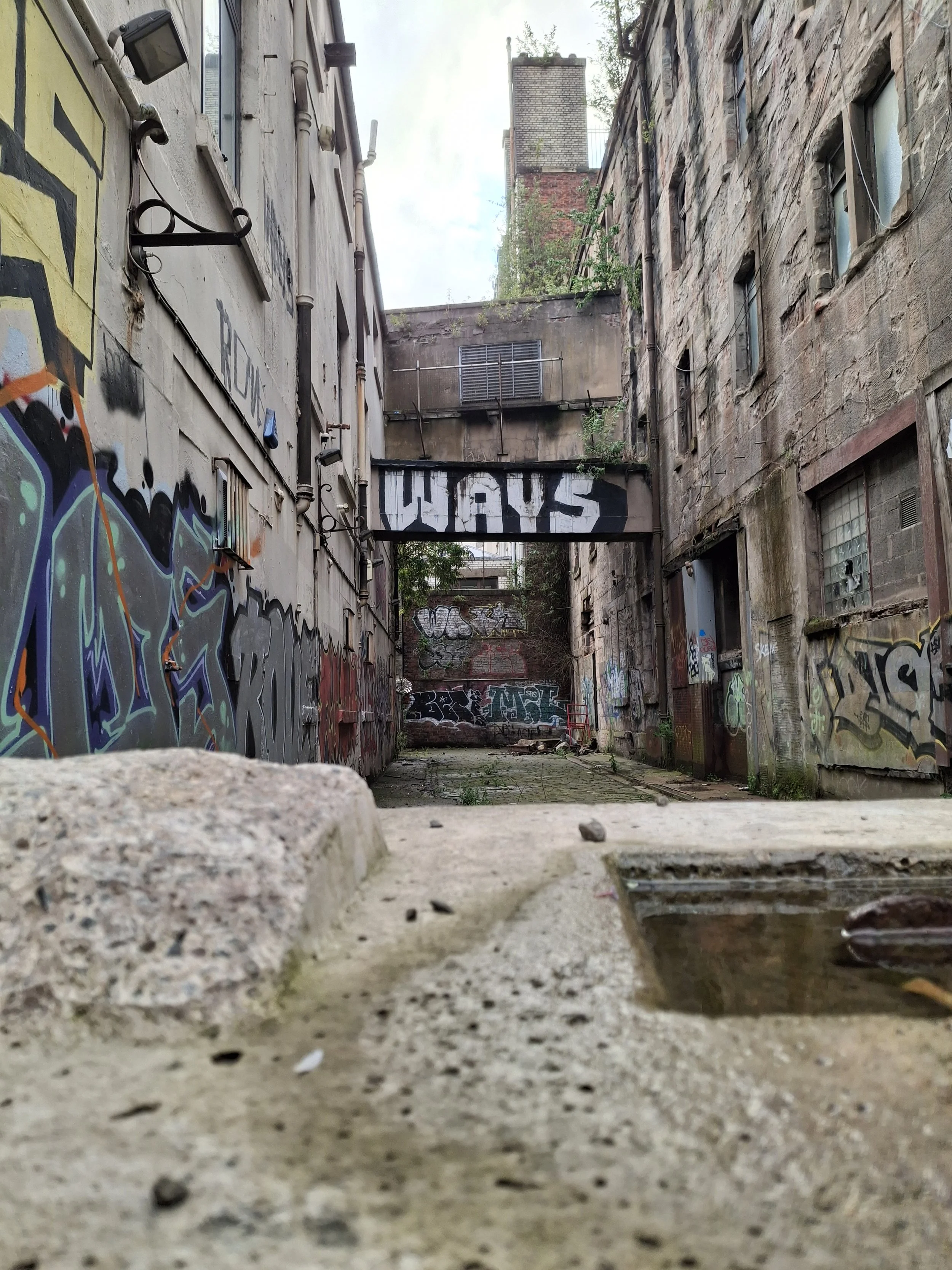 20260804_193905.jpg