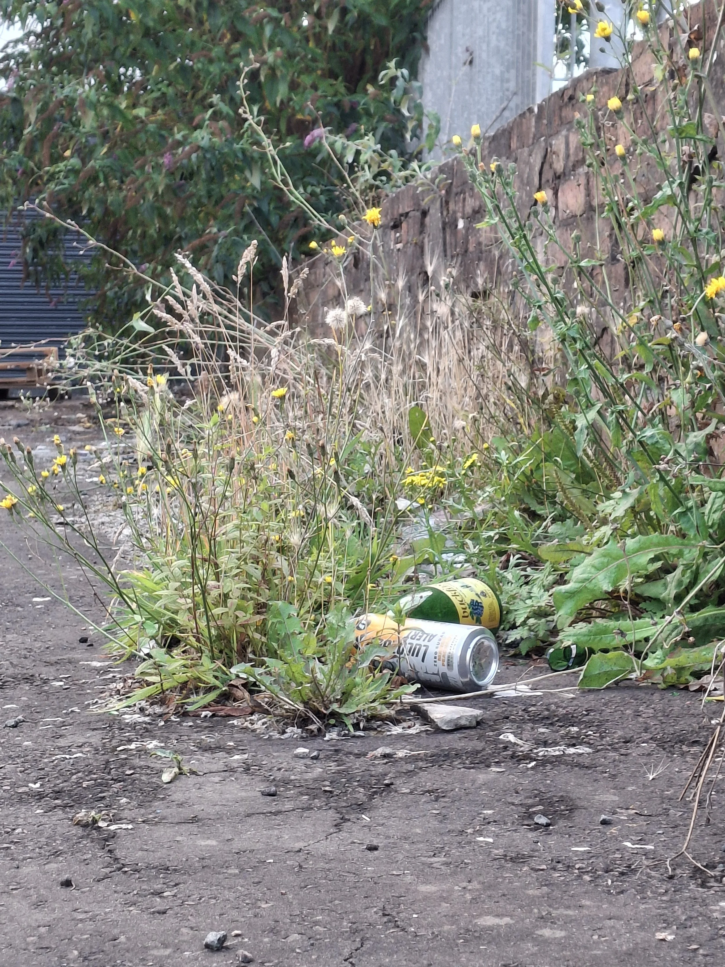 20260804_202240.jpg