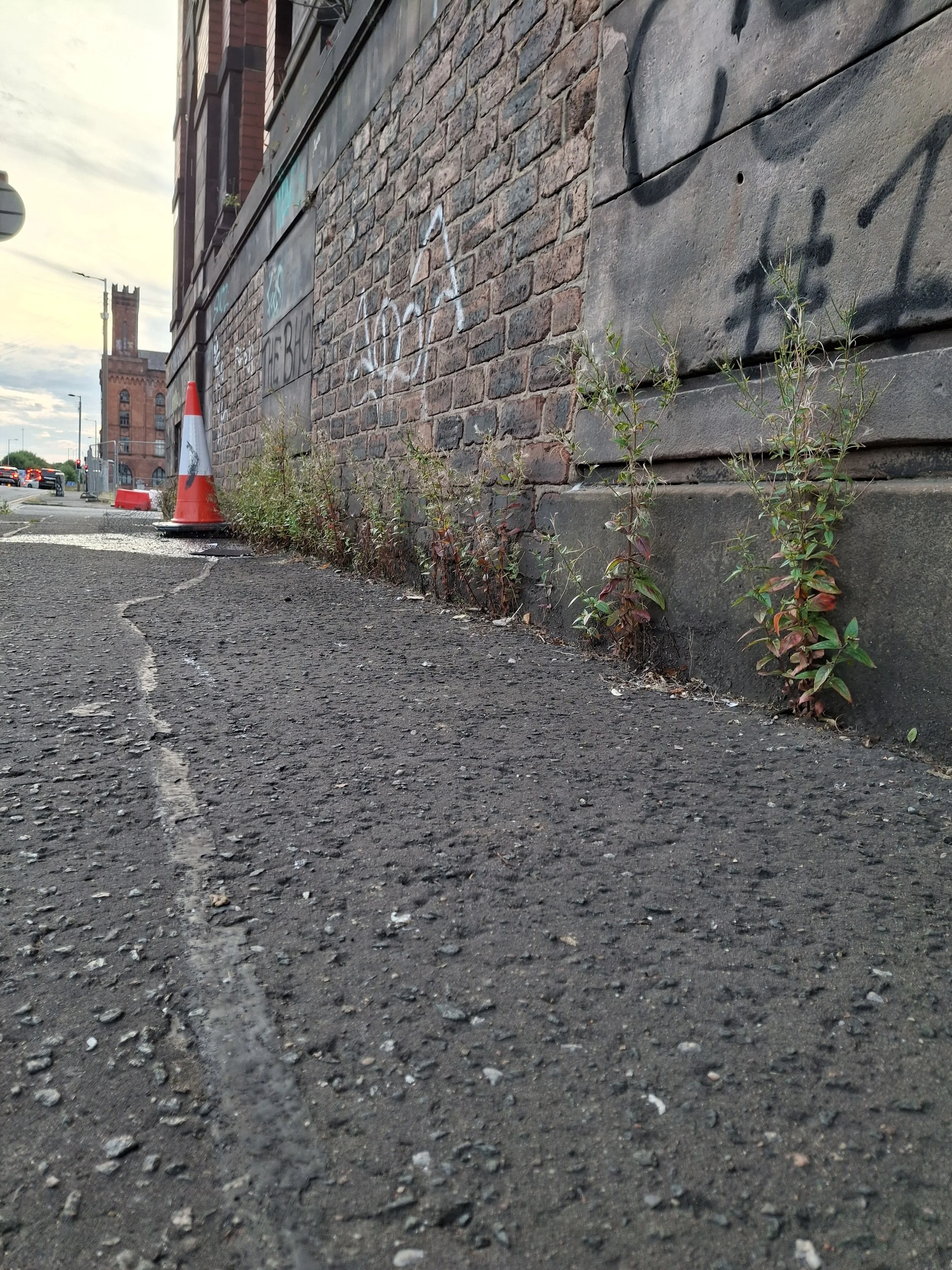 20260811_201203.jpg