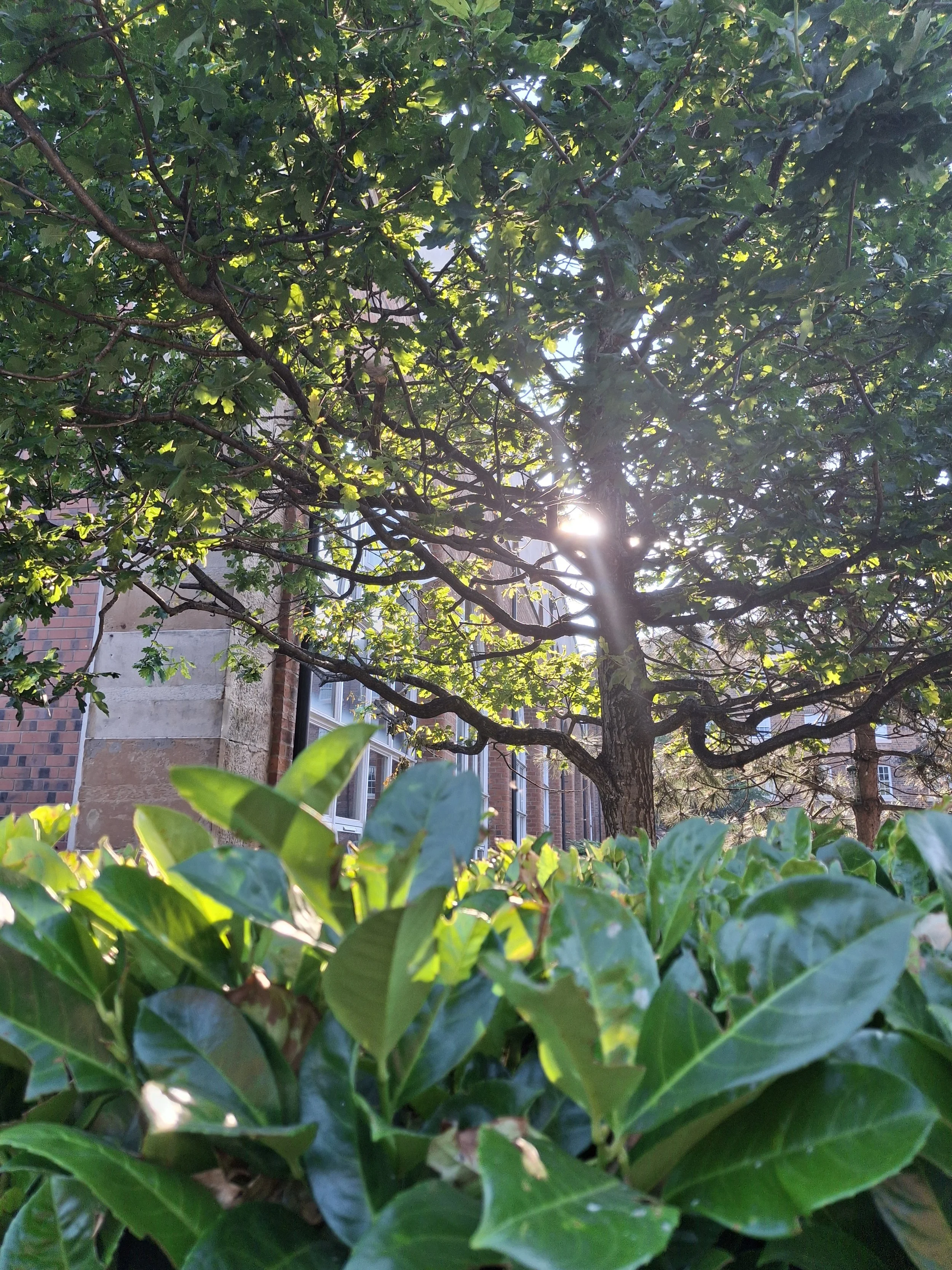 20260715_190545.jpg