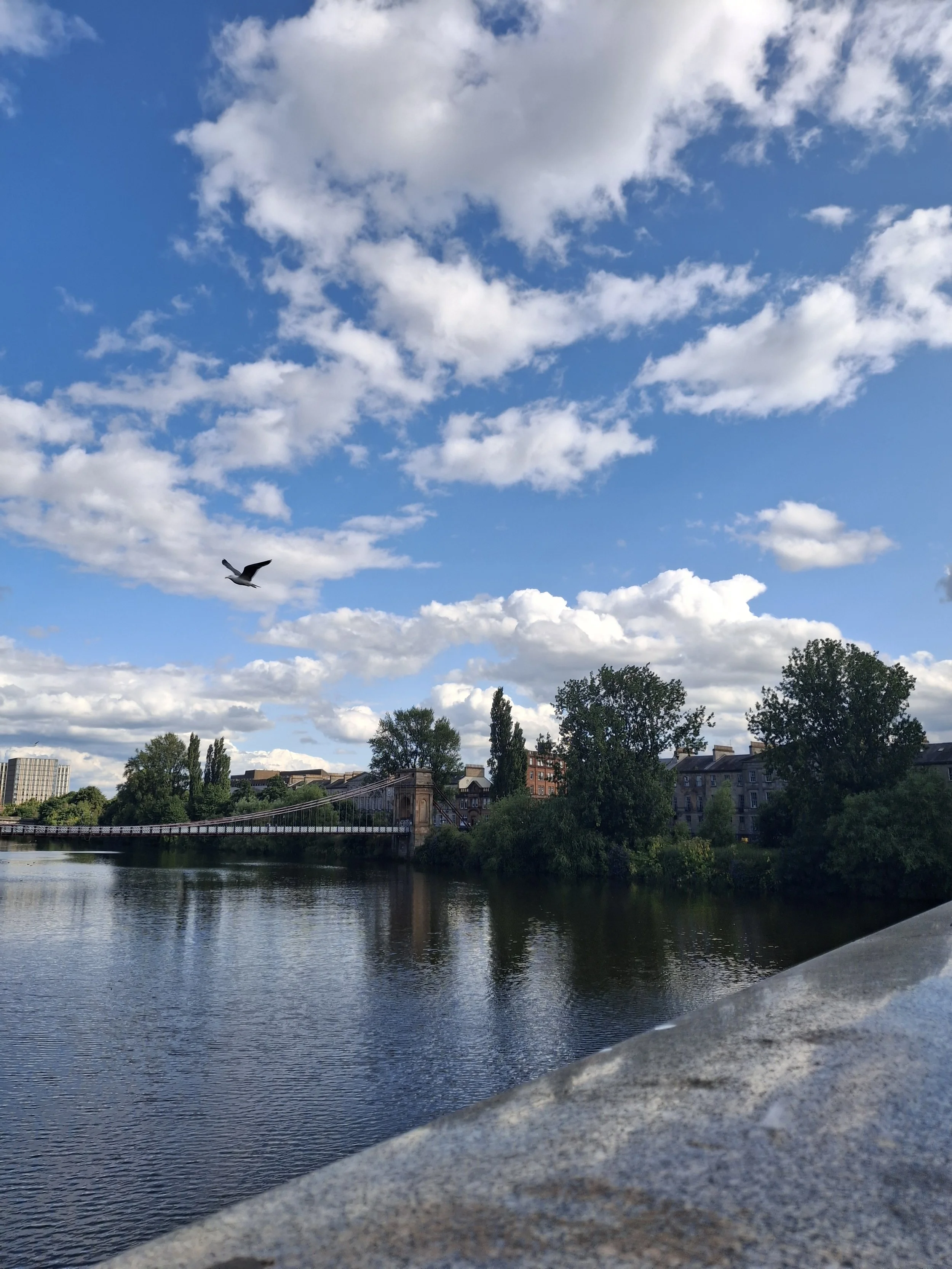 20260718_172704.jpg