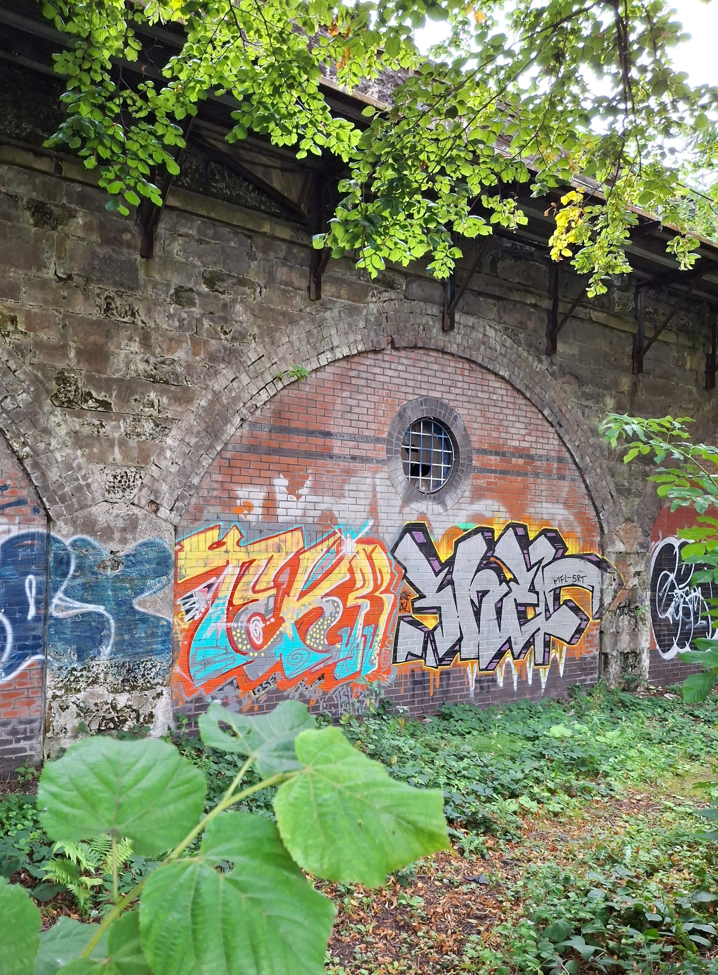 20260811_195750.jpg