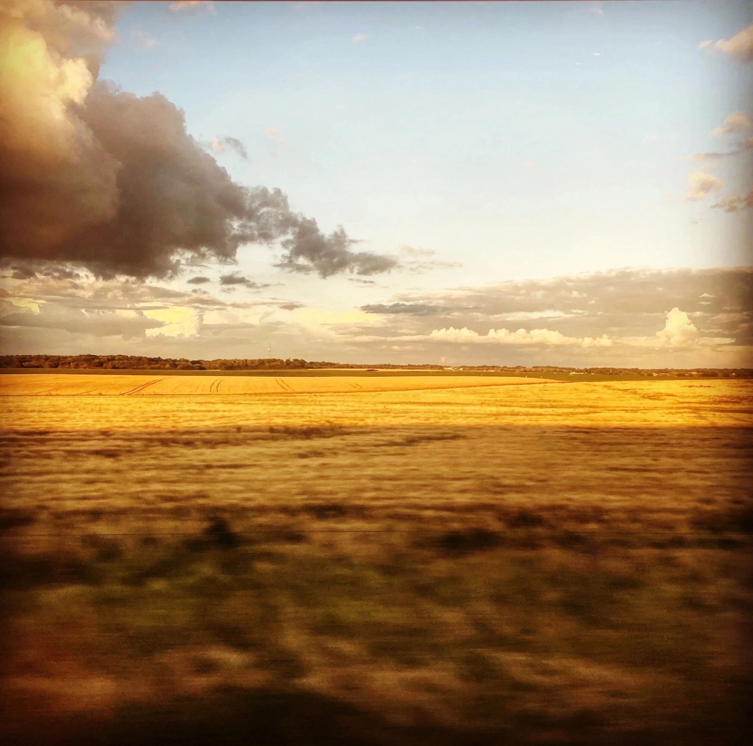 vue du train.jpg