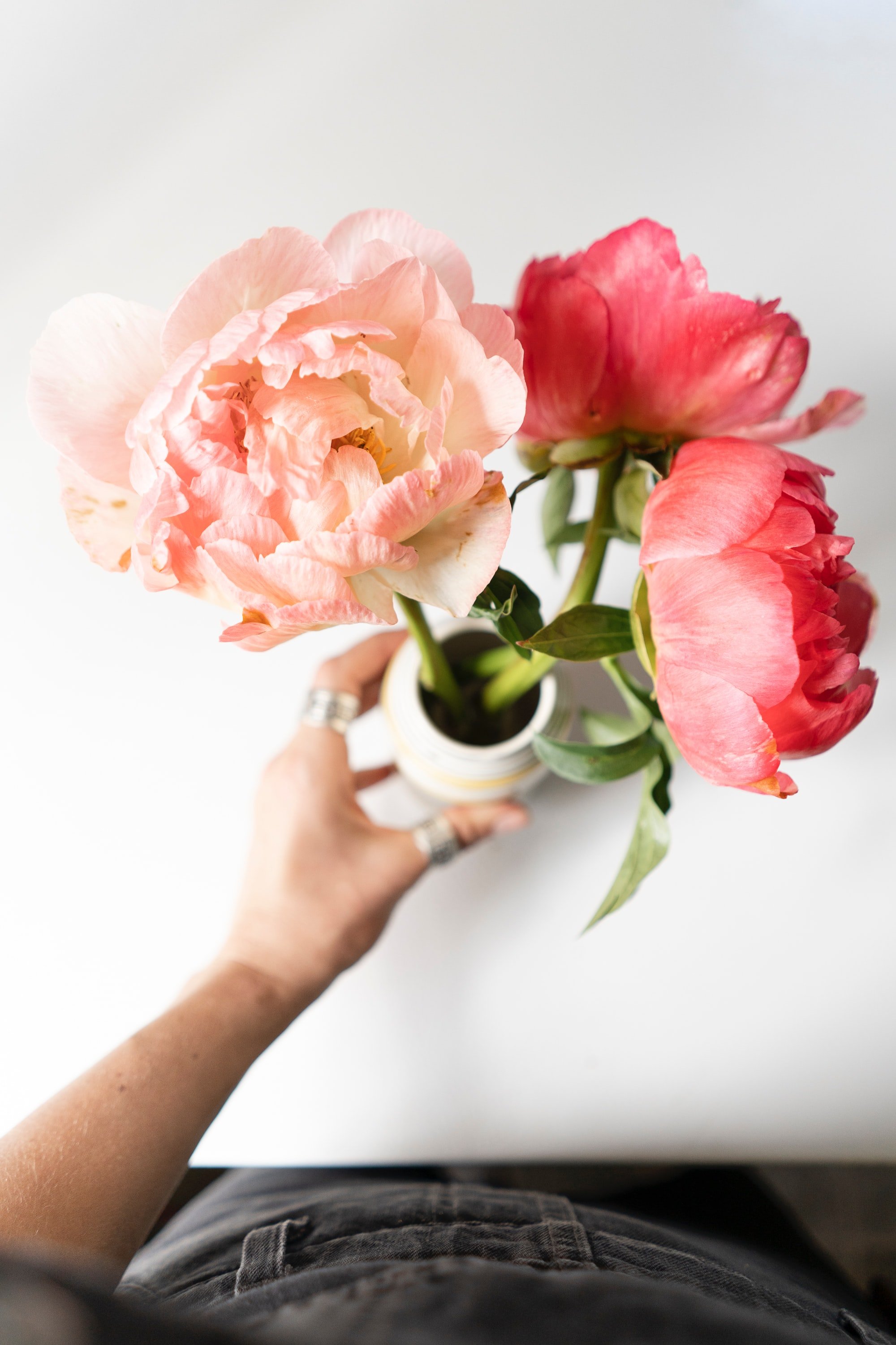 peonies arranged in a vase