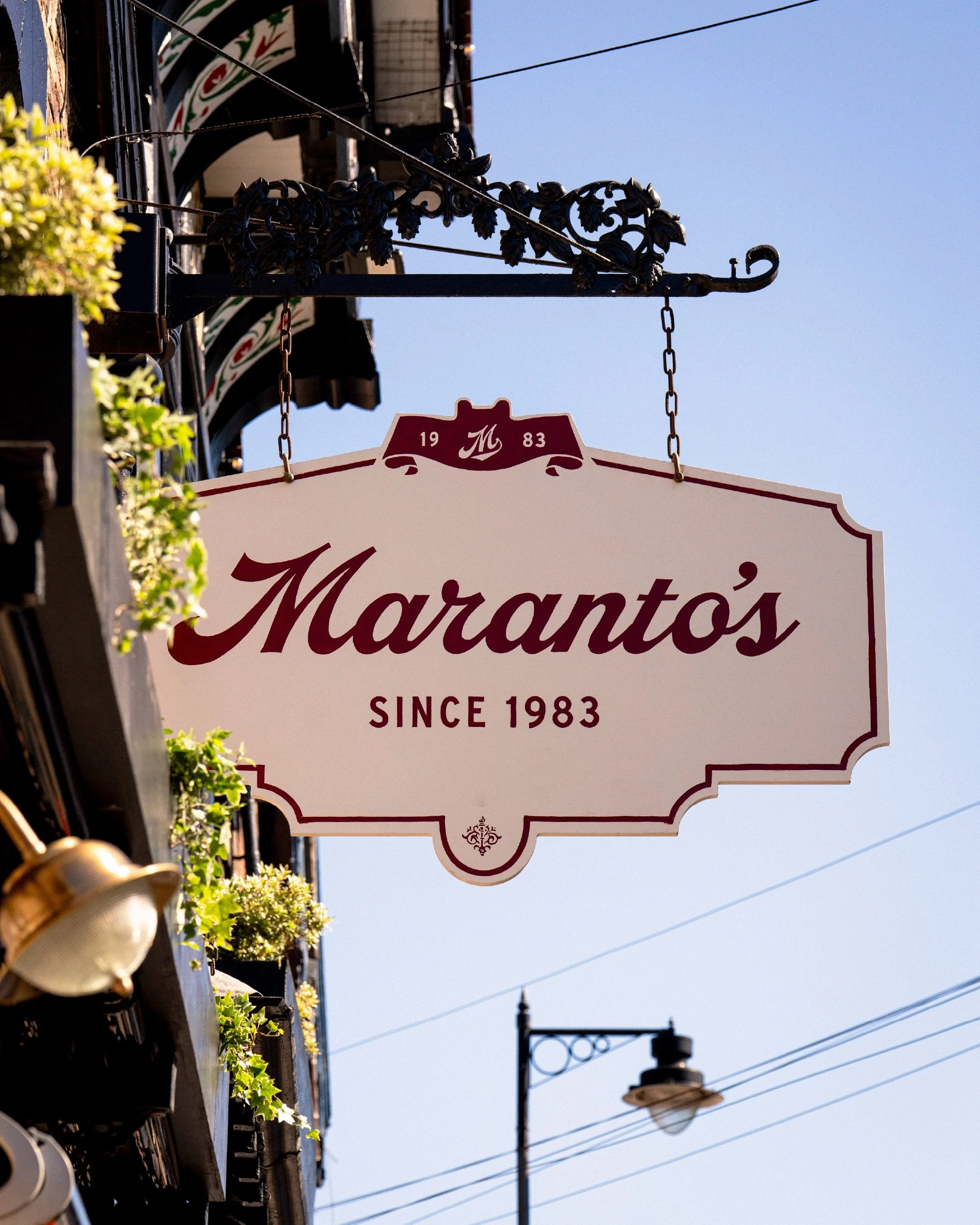 marantos-case-study-03.jpeg