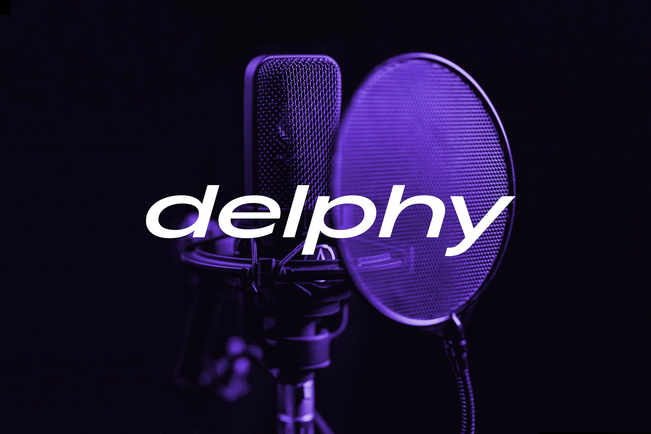 delphy-pages3.jpg