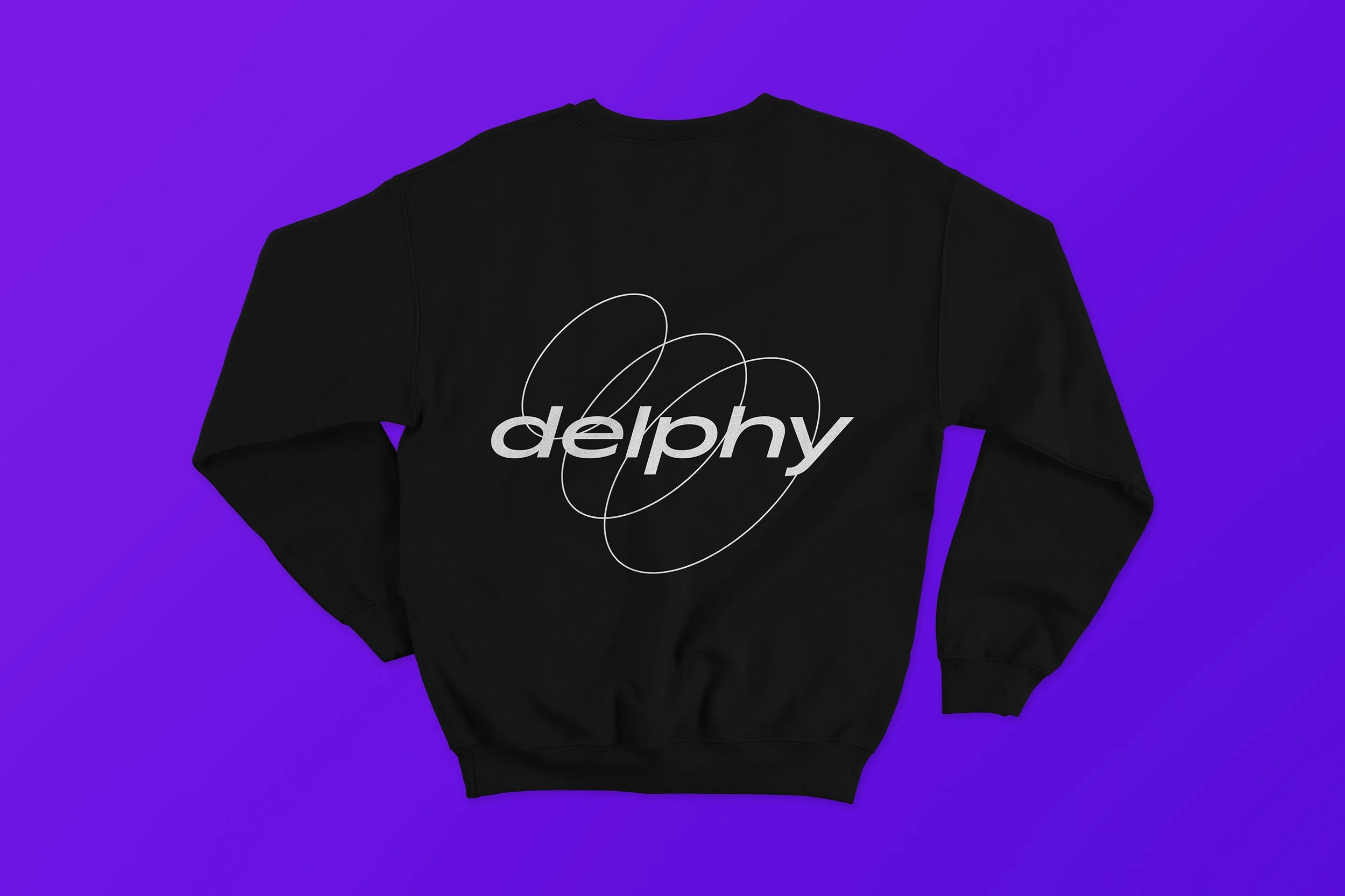 delphy-pages4.jpg