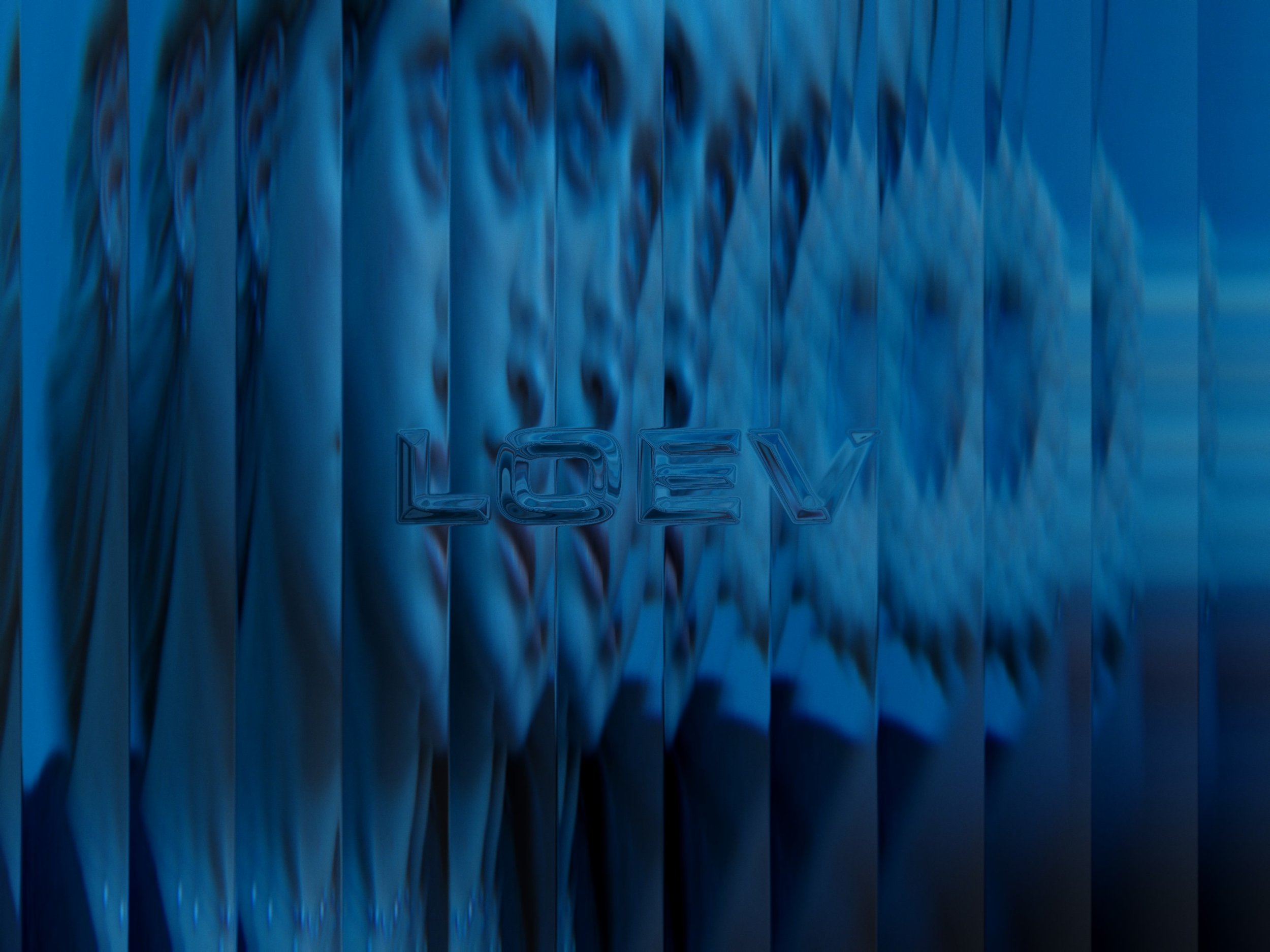 Loev-Stills-00001.jpg