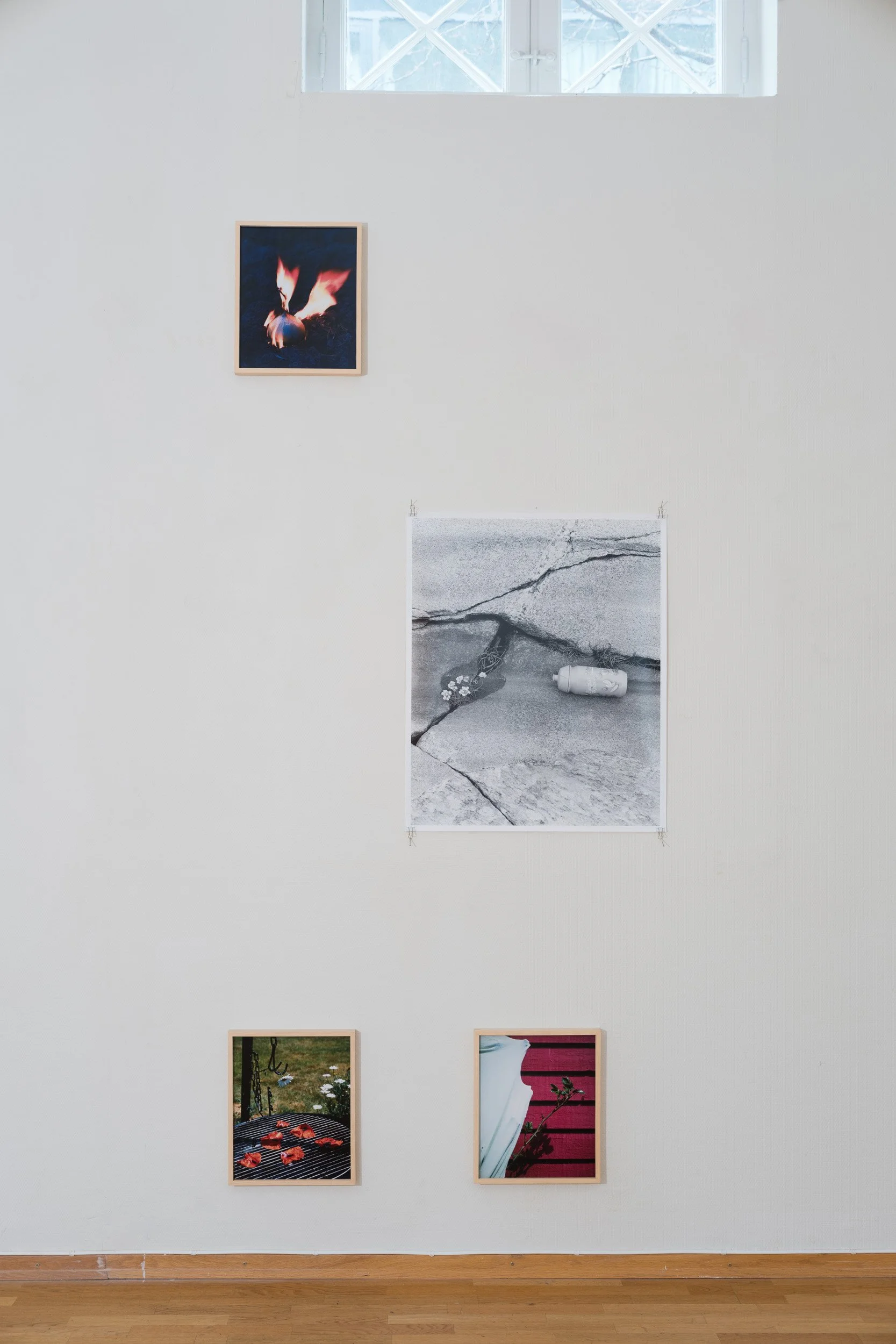 28_Moss kunstforening_Lyset fra Kiwi_ Sverre Strandberg.jpg