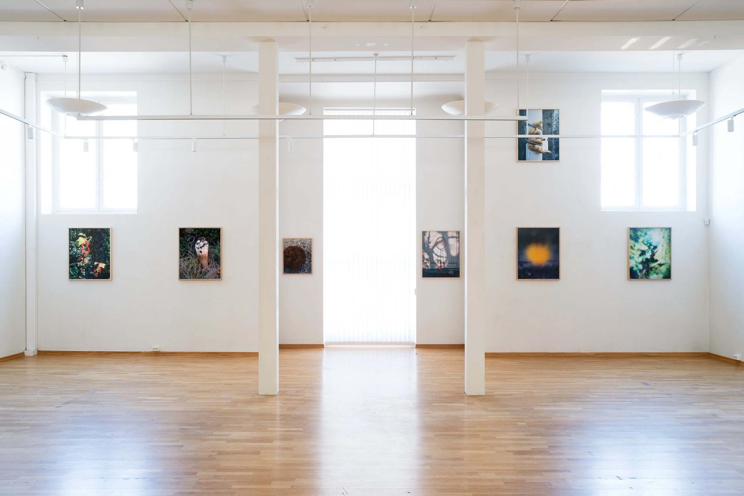 01_Moss kunstforening_Lyset fra Kiwi_ Sverre Strandberg.jpg