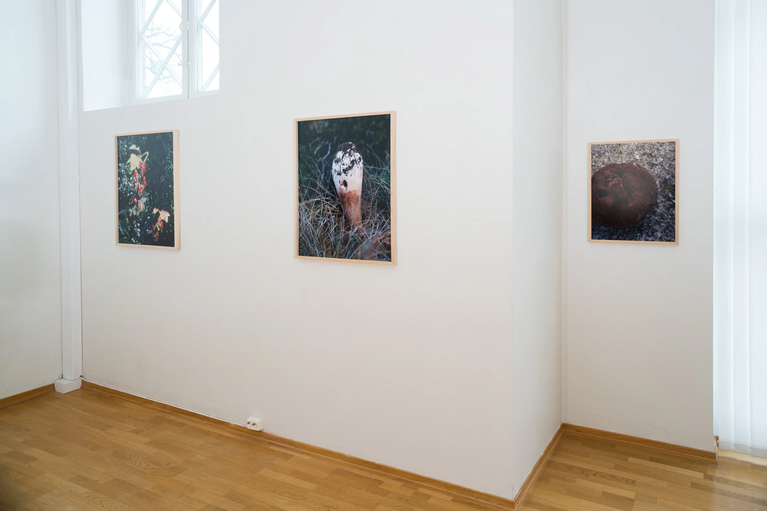 05_Moss kunstforening_Lyset fra Kiwi_ Sverre Strandberg.jpg