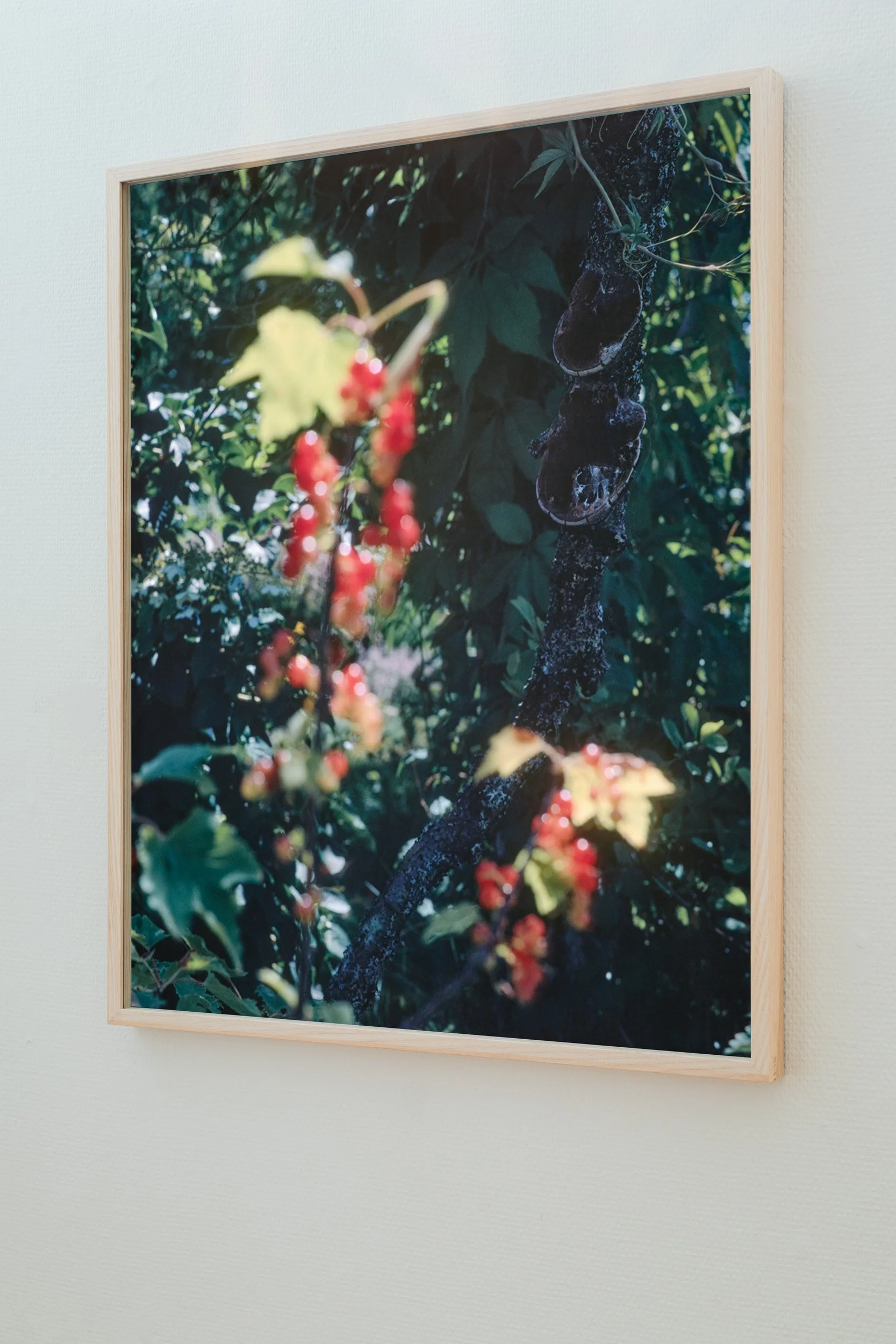 06_Moss kunstforening_Lyset fra Kiwi_ Sverre Strandberg.jpg