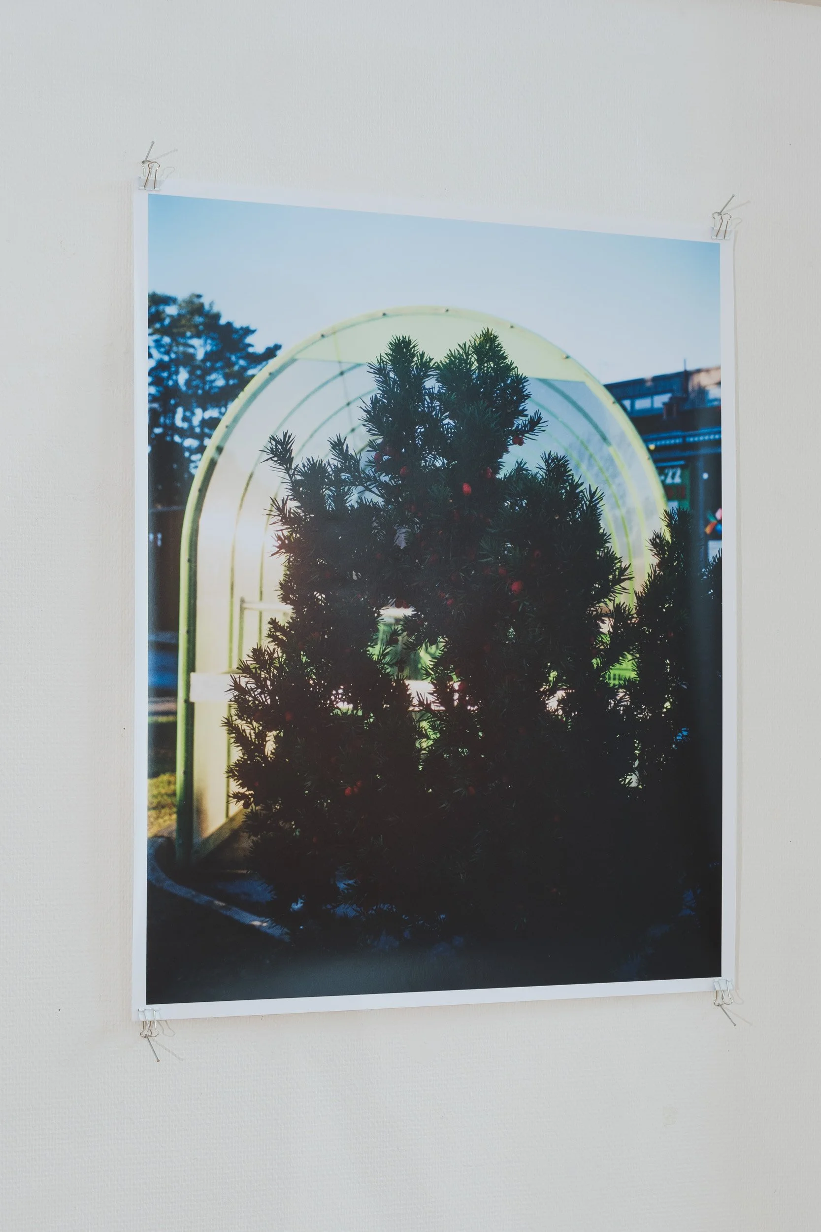 20_Moss kunstforening_Lyset fra Kiwi_ Sverre Strandberg.jpg