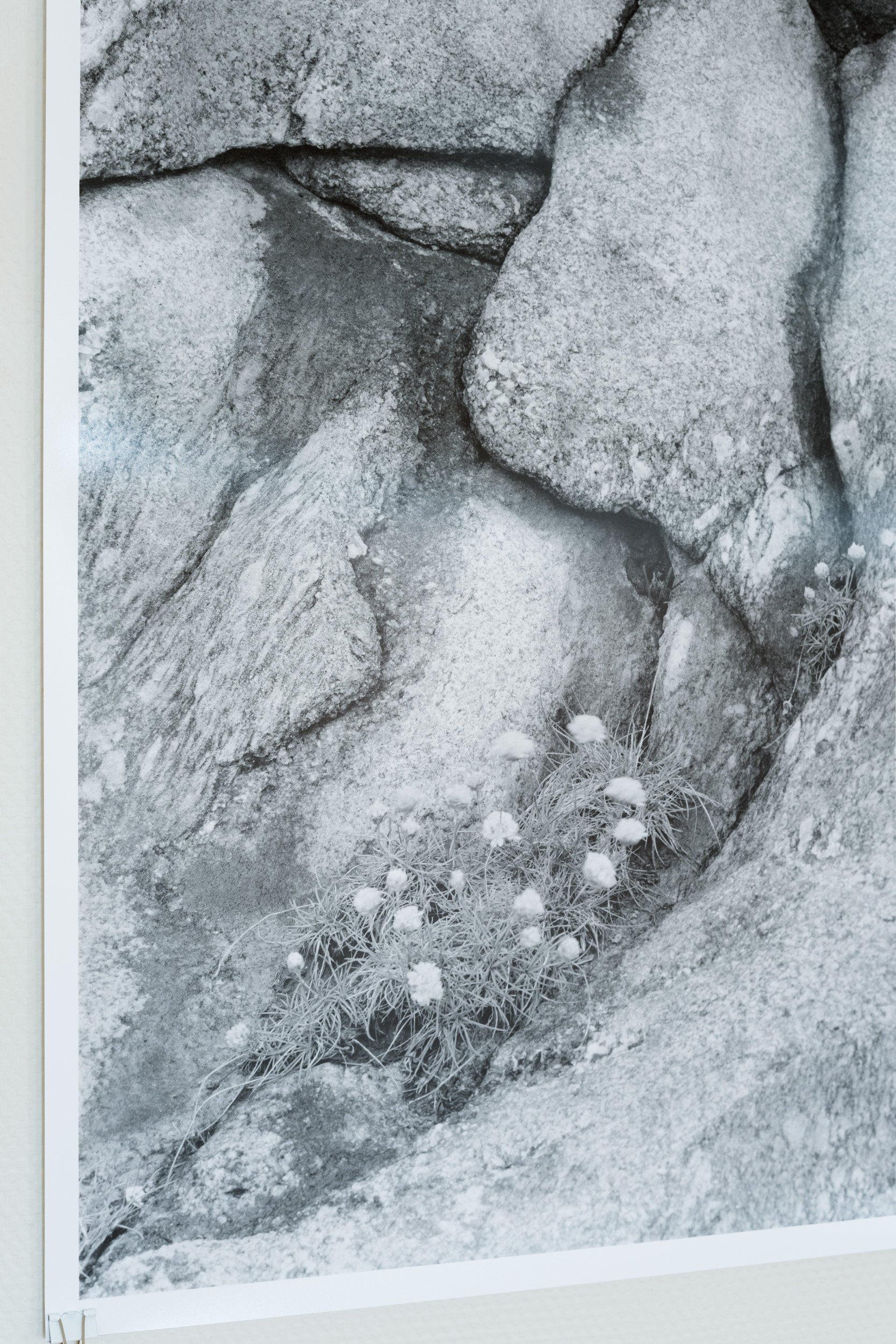 30_Moss kunstforening_Lyset fra Kiwi_ Sverre Strandberg.jpg