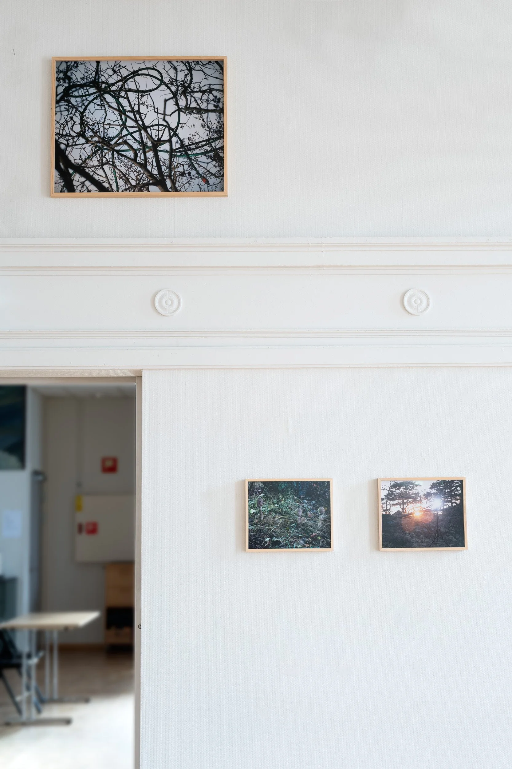 19_Moss kunstforening_Lyset fra Kiwi_ Sverre Strandberg.jpg