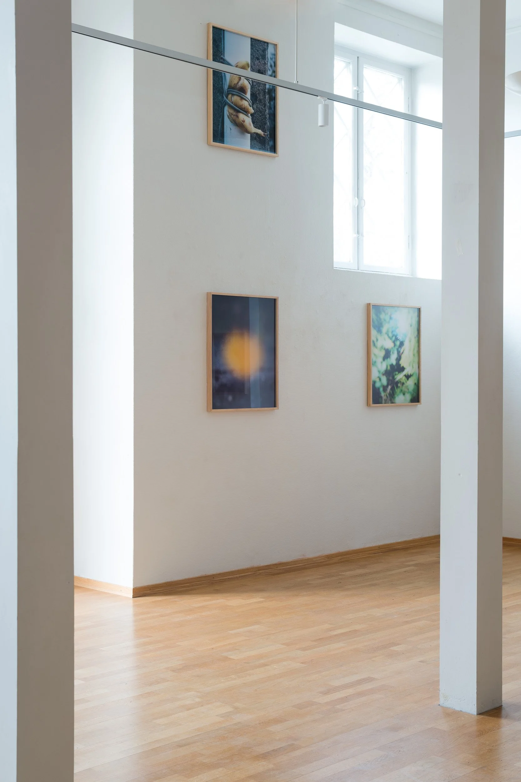 08_Moss kunstforening_Lyset fra Kiwi_ Sverre Strandberg.jpg