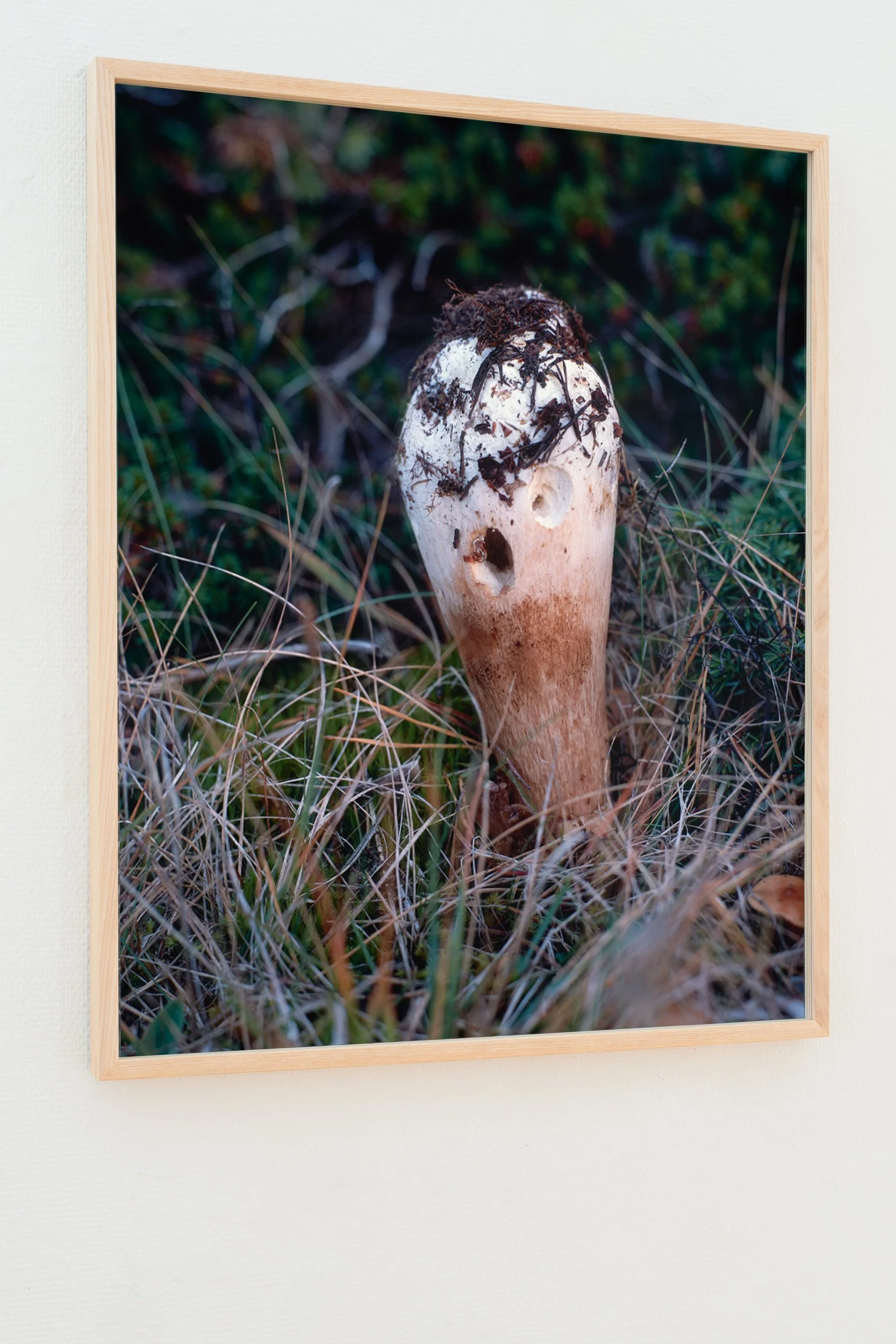 07_Moss kunstforening_Lyset fra Kiwi_ Sverre Strandberg.jpg