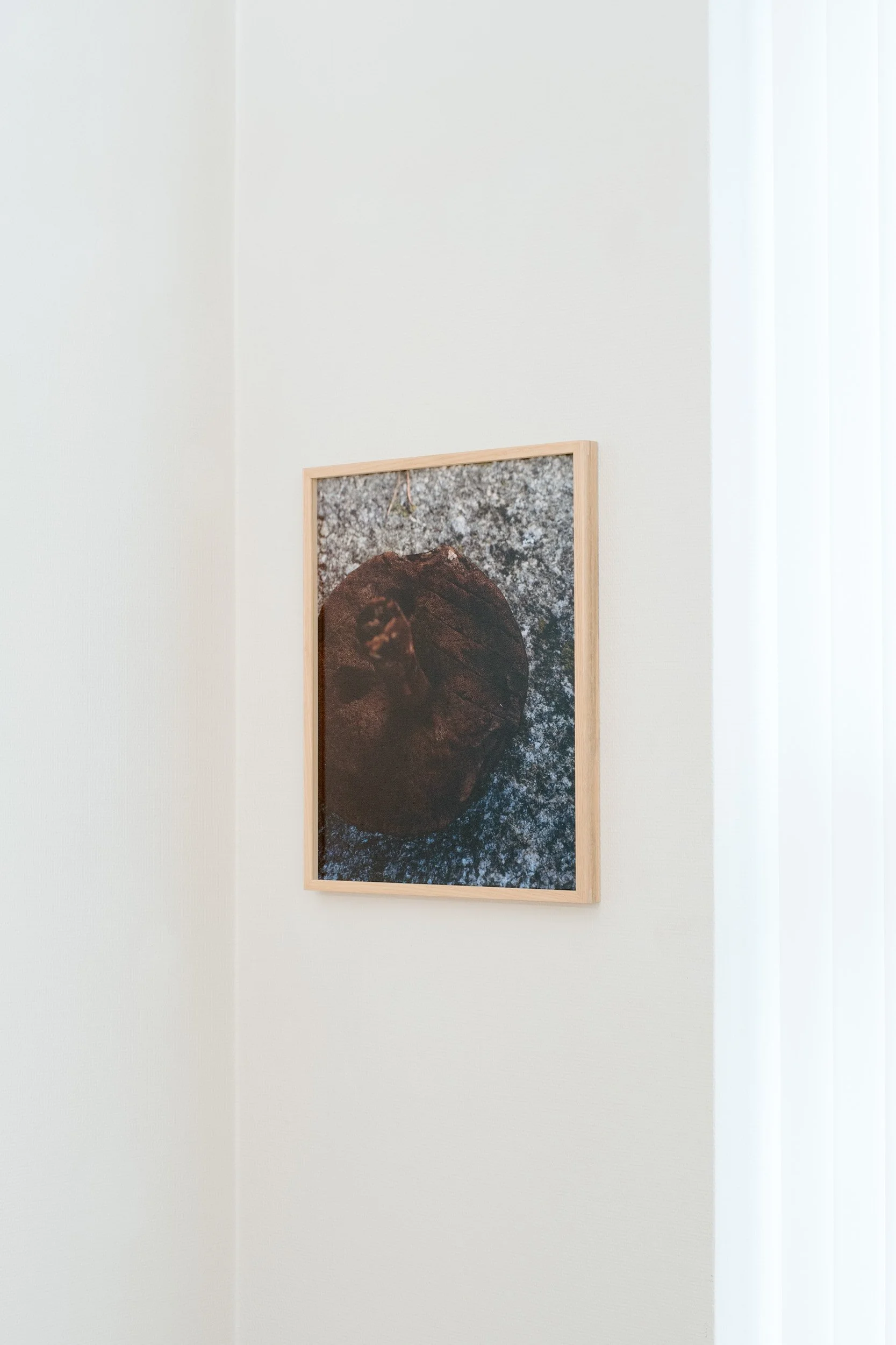 03_Moss kunstforening_Lyset fra Kiwi_ Sverre Strandberg.jpg