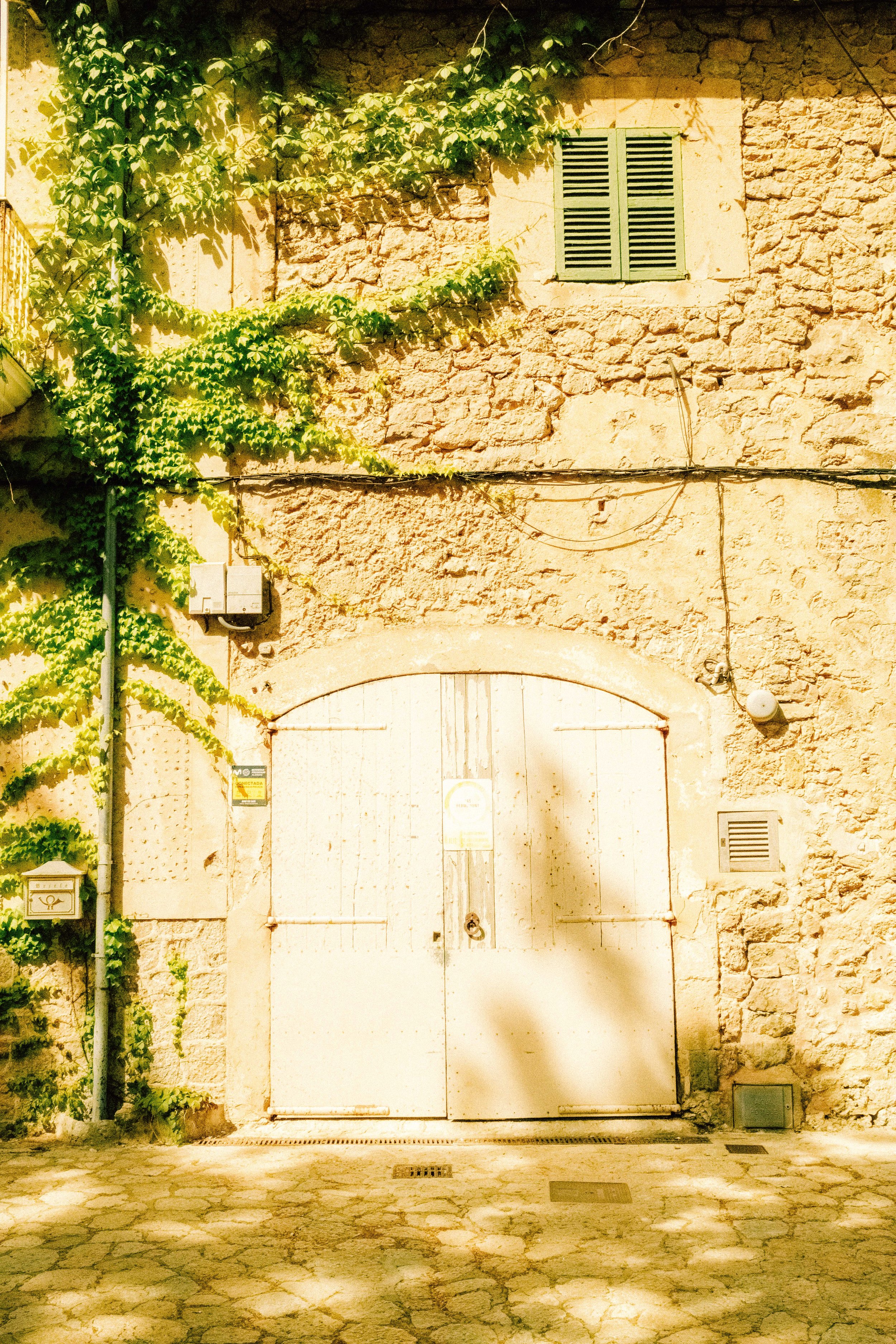 DSCF6735.jpg