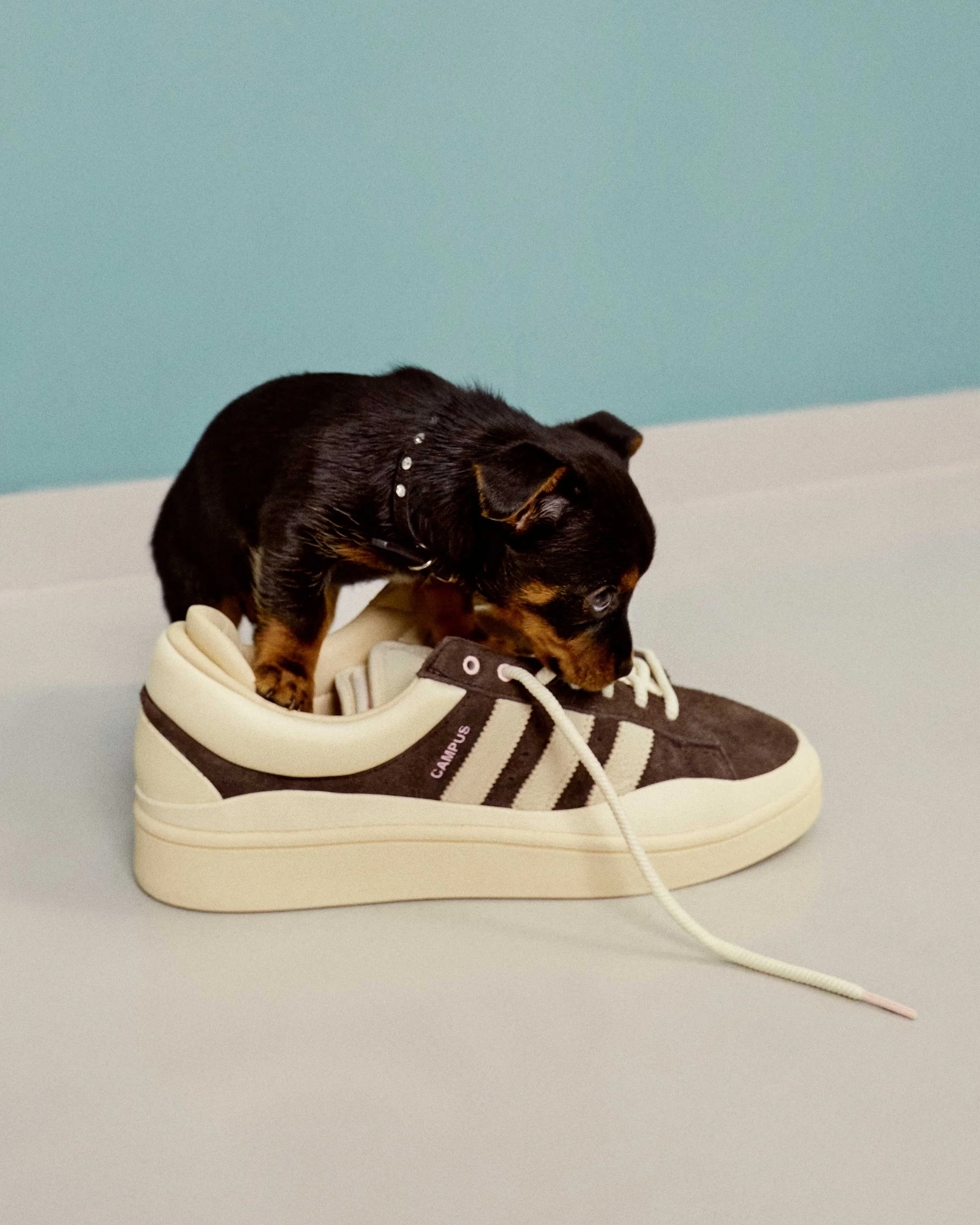Bad Bunny x adidas campaign photography by Juanma Jmse