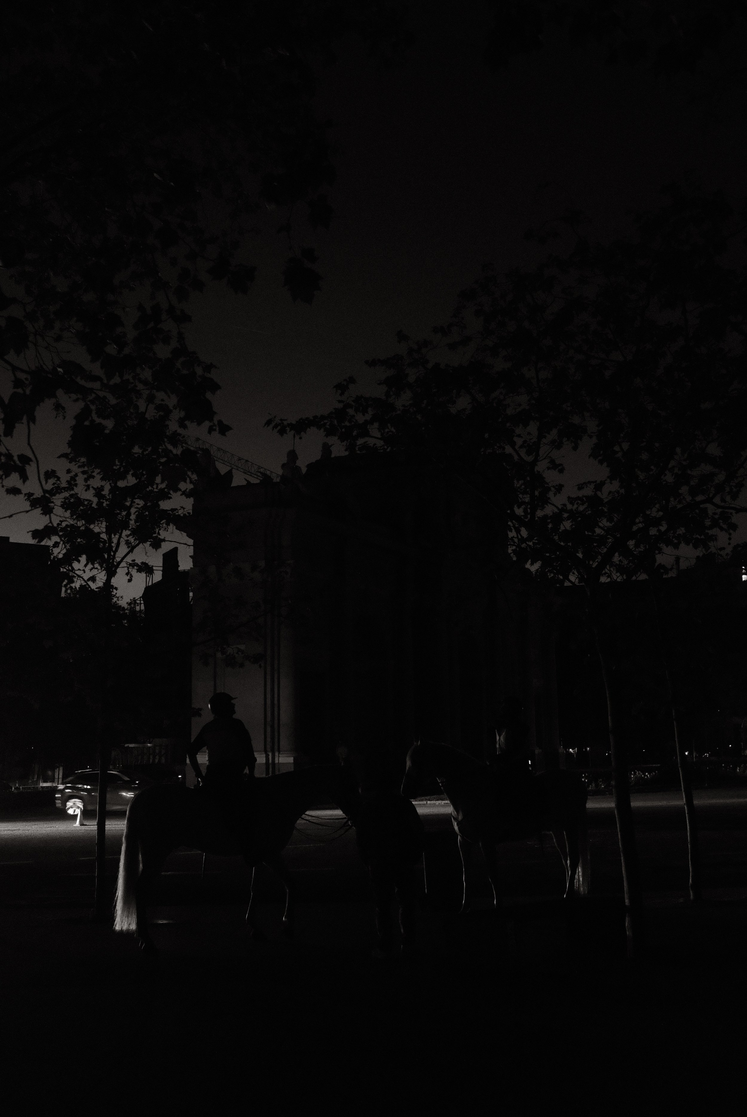 DSCF1159.jpg