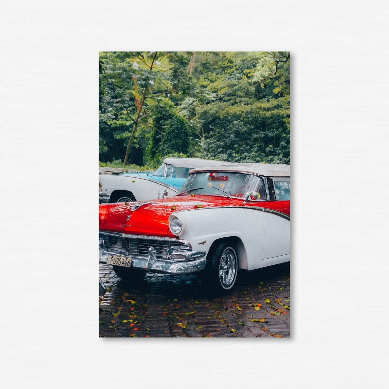 Classic Cars, Cuba 2022 — detail of the original photograph.