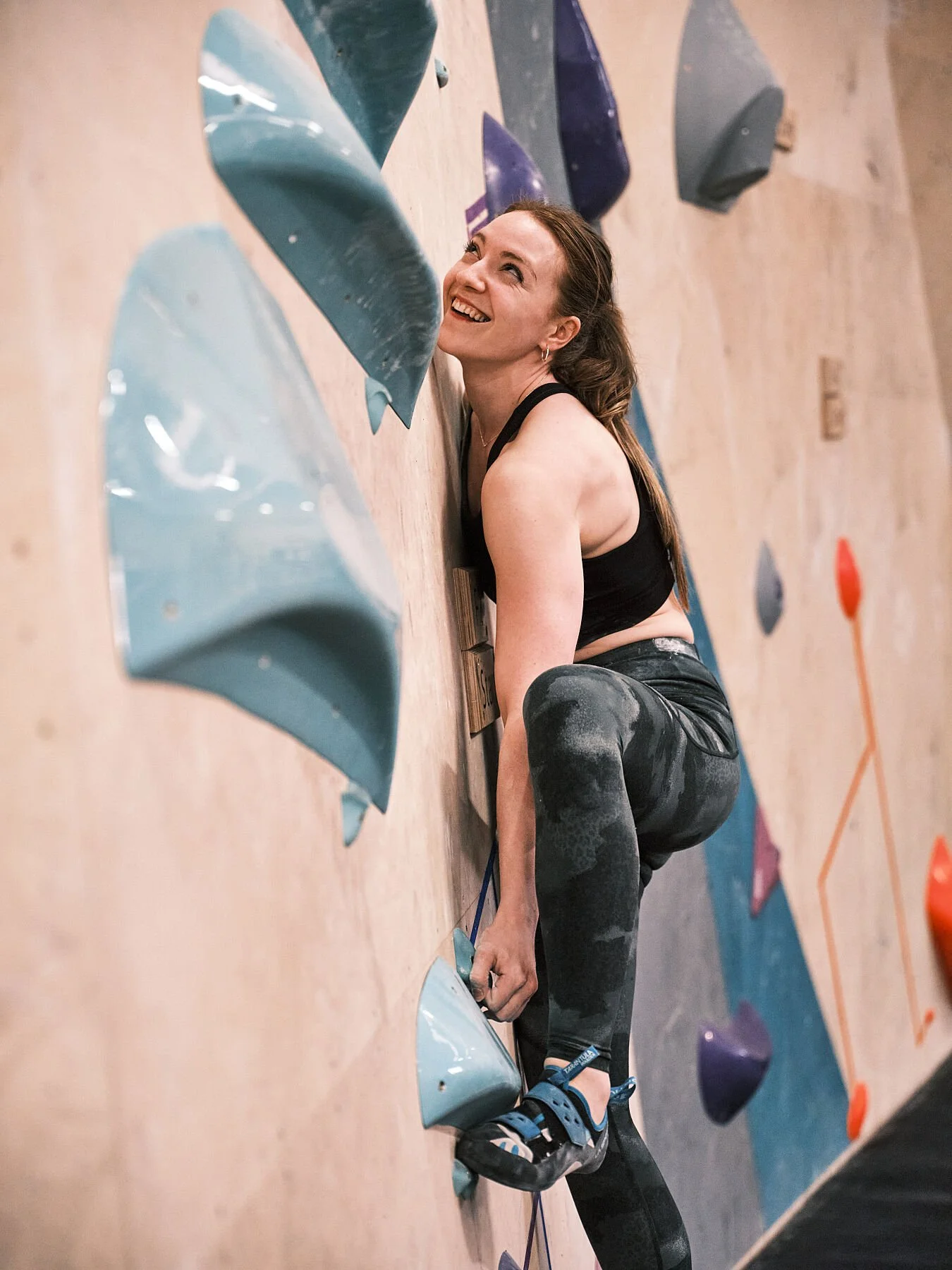 9959479.jpg