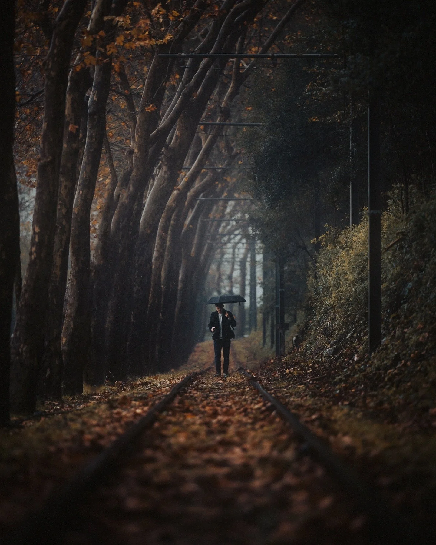 Rainy days in Sintra ☔️
.
📷 #nikon #nikoncreators #nikoneurope @nikoneurope 
.
.
.
#lisbonphotographer #lisboa #sintra #streetphotographers #streetphotographyinternational