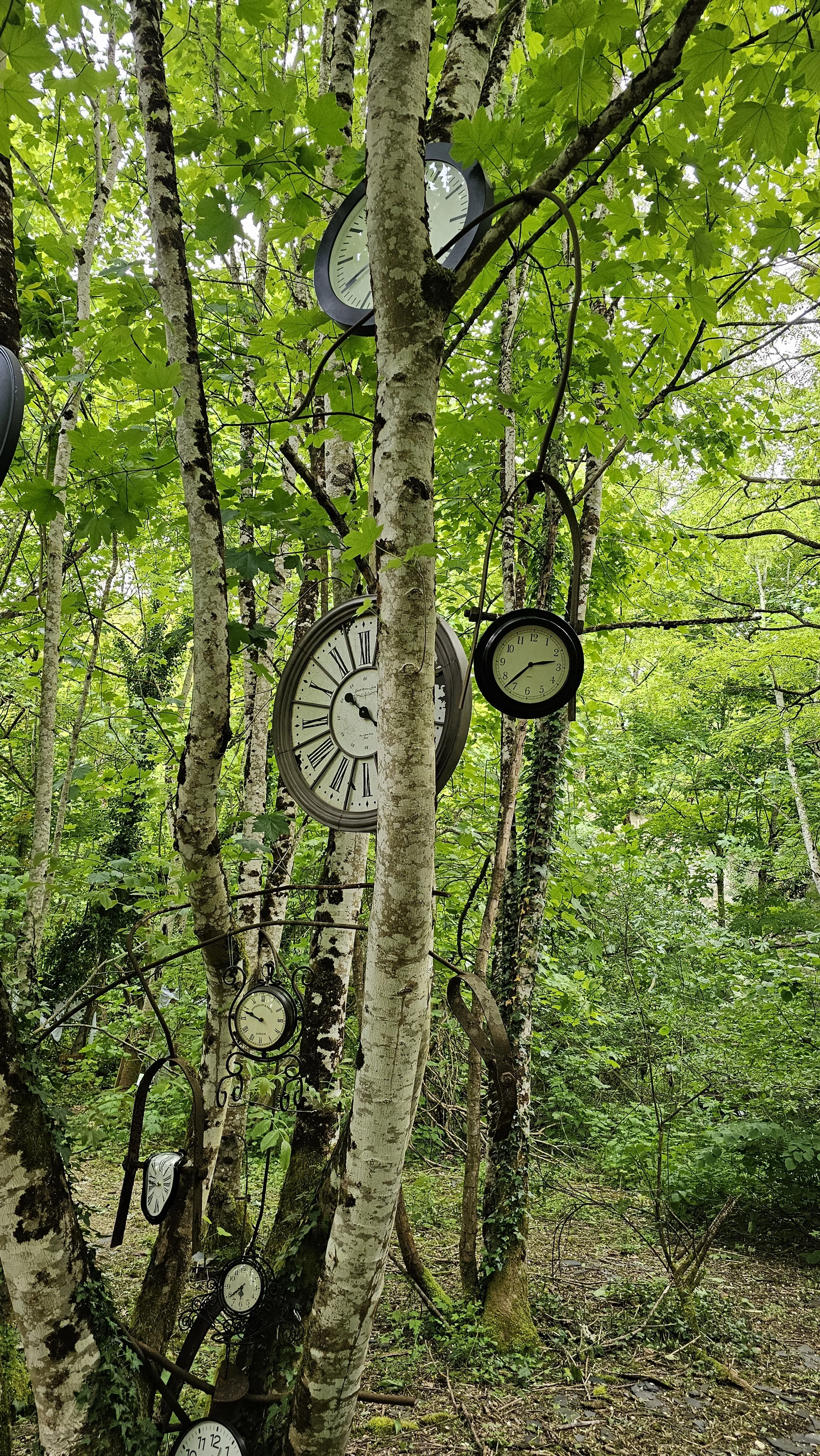 CLOCKS.jpg