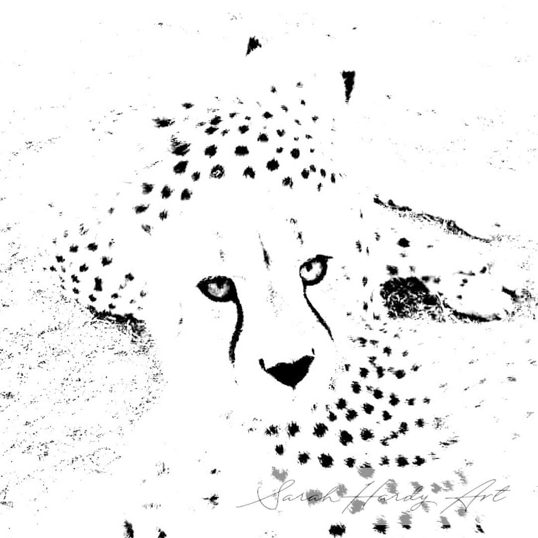 When you know, you know. 

Who loves cheetahs? 

#africanwildlife #cheetah #blackandwhite #fineartphotography #beingwildwildlife #naturerules #art #fineart #lessonsinnature #africa #artfornaturelovers #experientialart #nature #photography #bigcat #ca