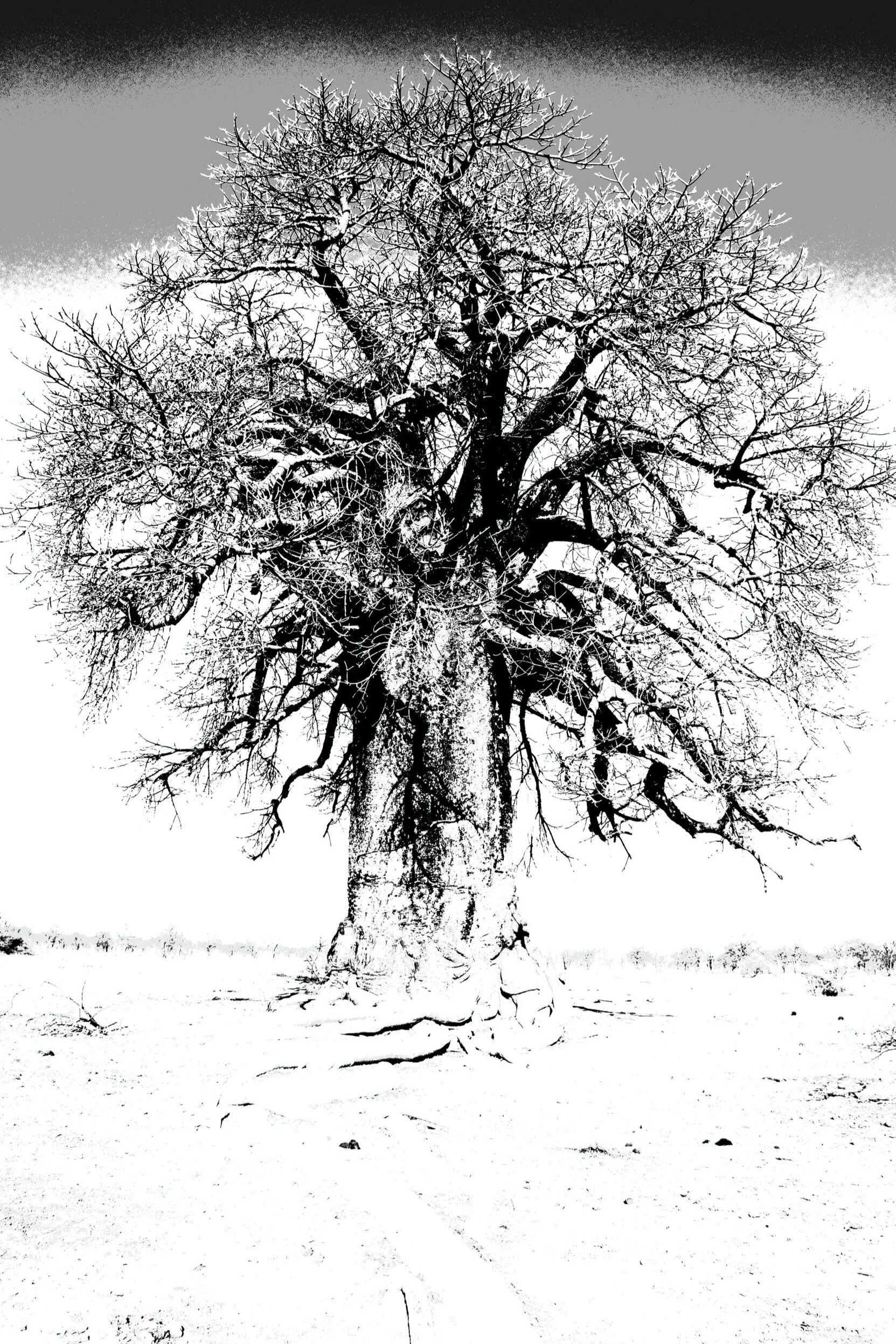 ED393031-EB1A-4B3E-BBB6-AC9AB5174F80