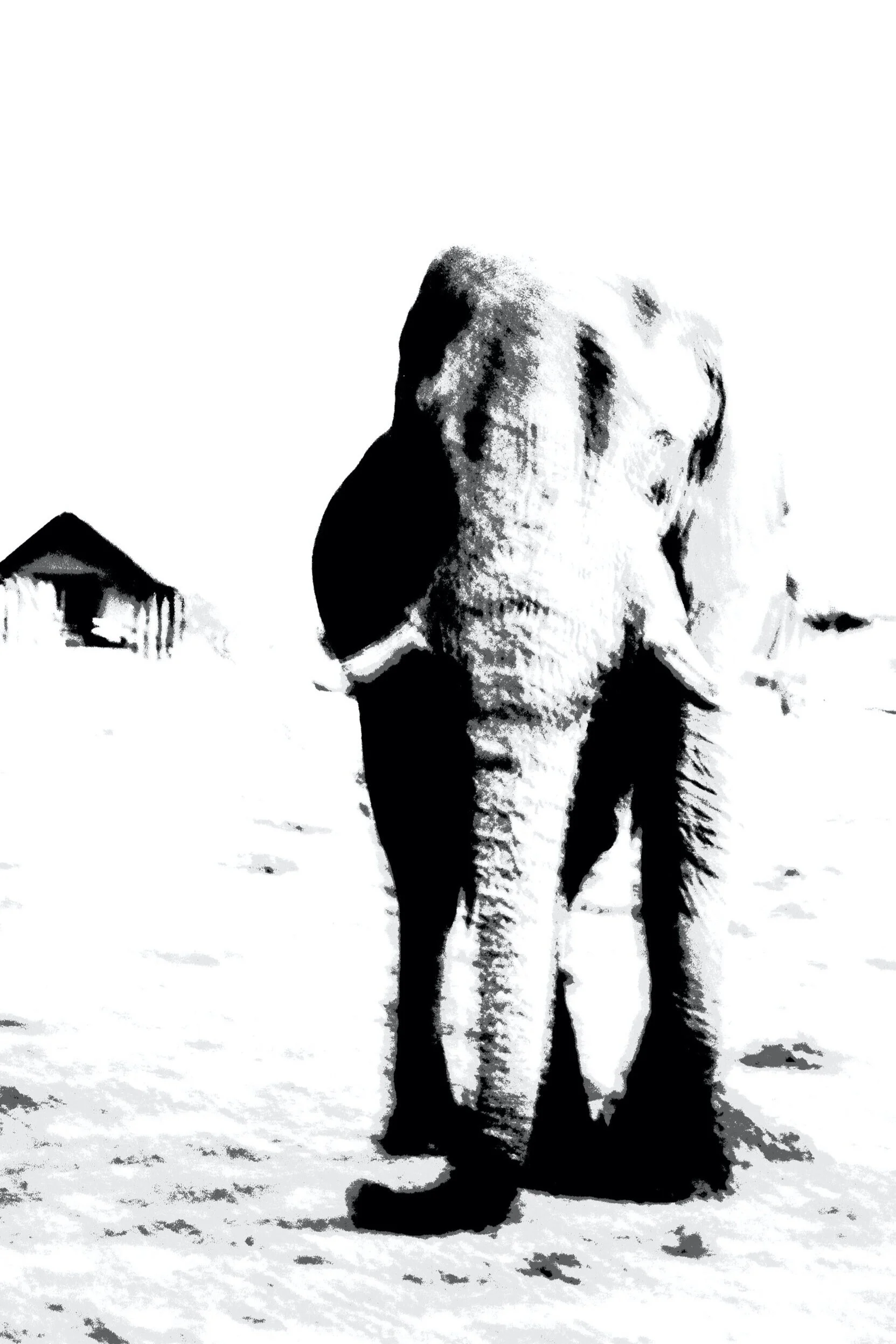 Standing in the Presence of Greatness