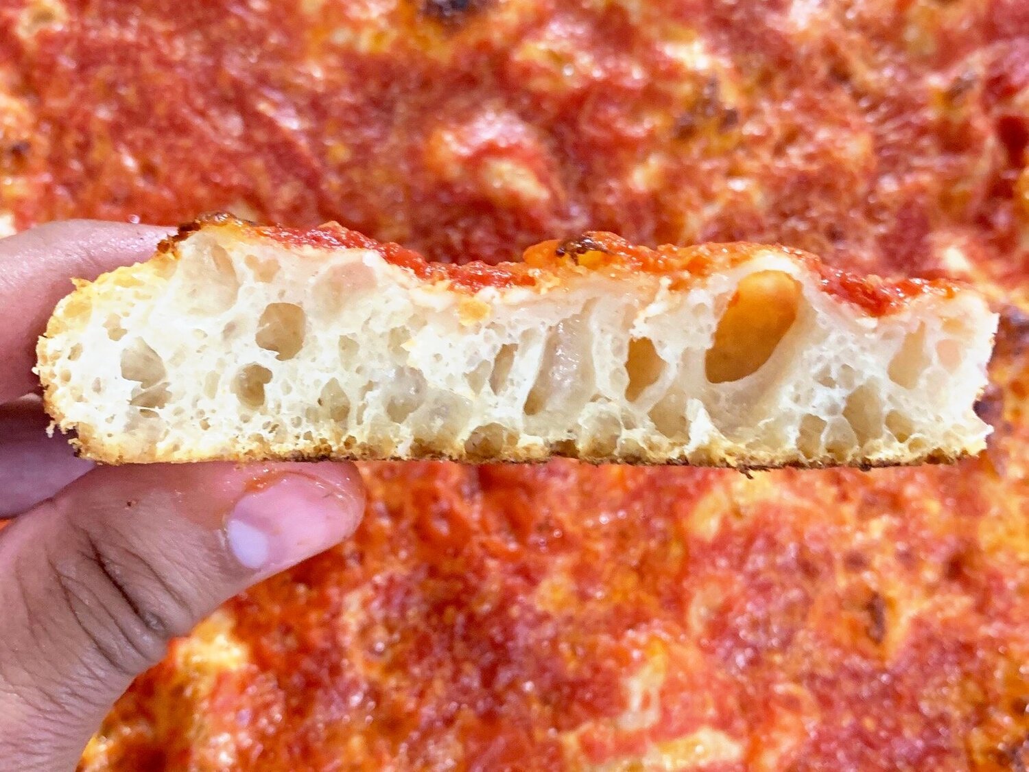 Upside Down Sicilian Pizza — Forza Pizza