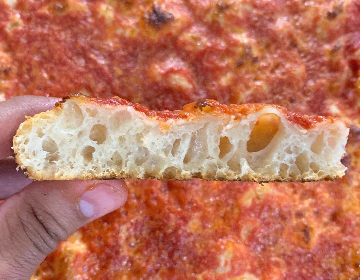 How to Make Homemade Sicilian Pizza & Pan Pizza Dough