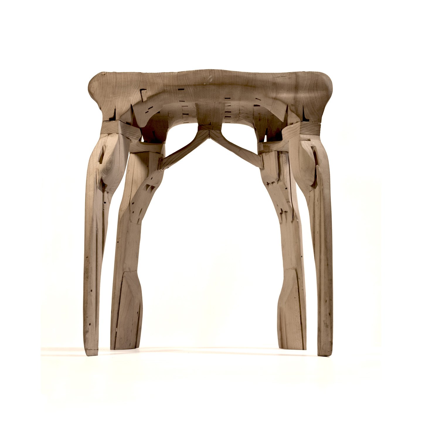bone etch reg.jpg