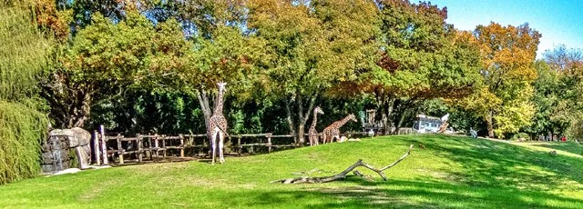 FW Zoo-112.jpg