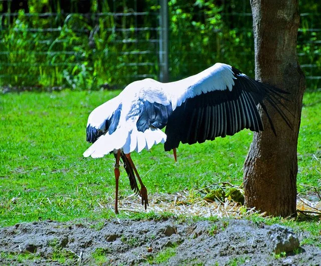 2012 Calgary Spring-090