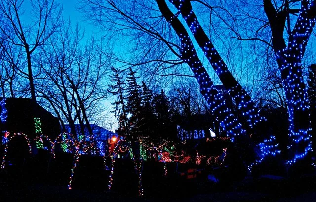 Zoolights-039.jpg