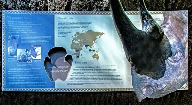 FW Zoo-145.jpg