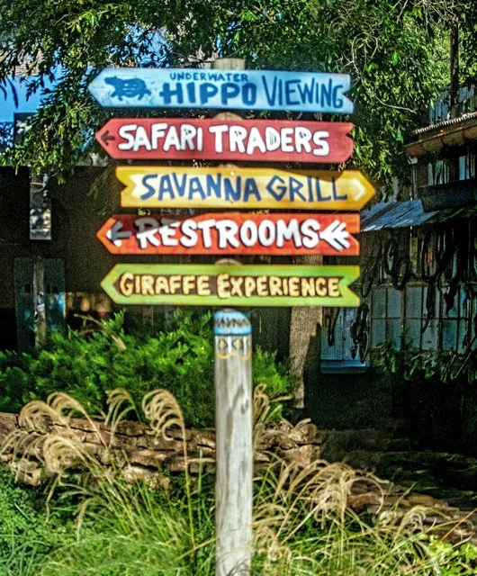 FW Zoo-107.jpg