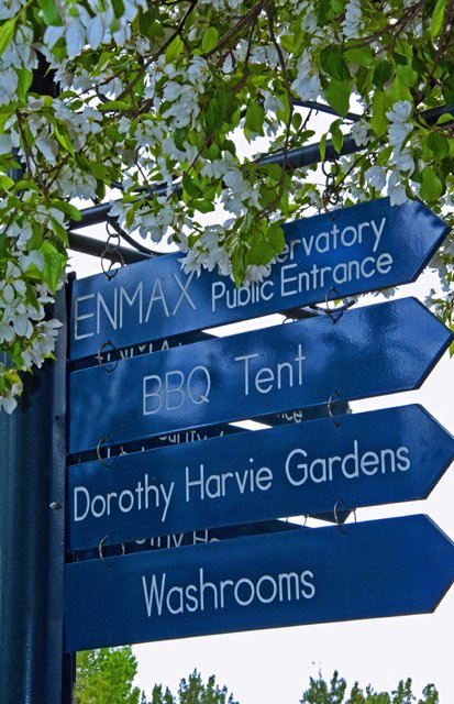 2012 Calgary Spring-110