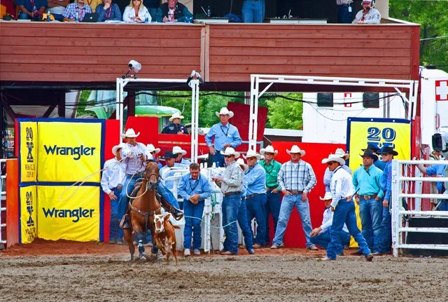 Rodeo-118.jpg