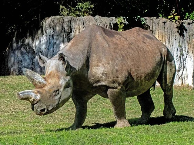 FW Zoo-148.jpg