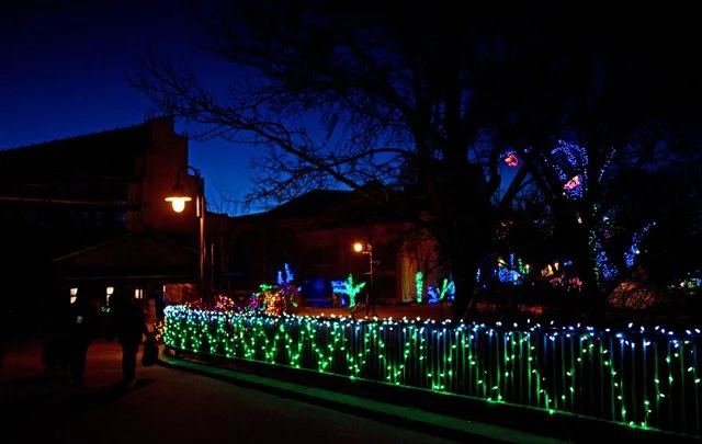 2012 Calgary Zoolights-030