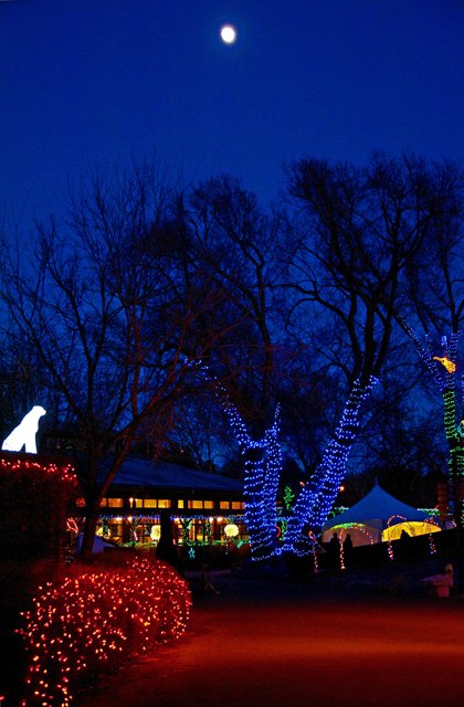 Zoolights-037.jpg