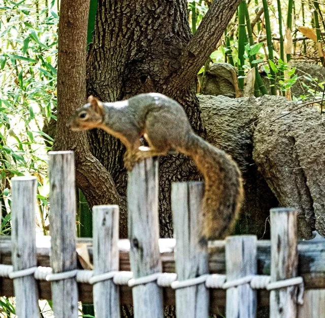 FW Zoo-142.jpg