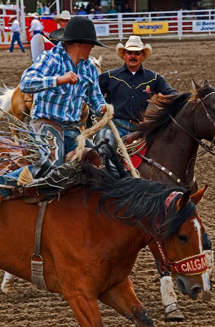 Rodeo-093.jpg