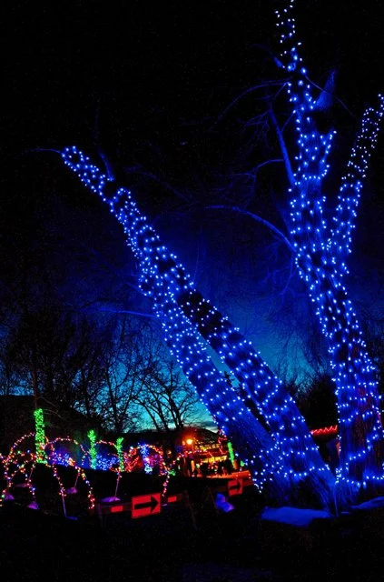 2012 Calgary Zoolights-040